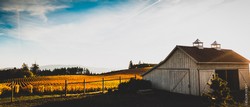 Fall + Winter Webinar Set